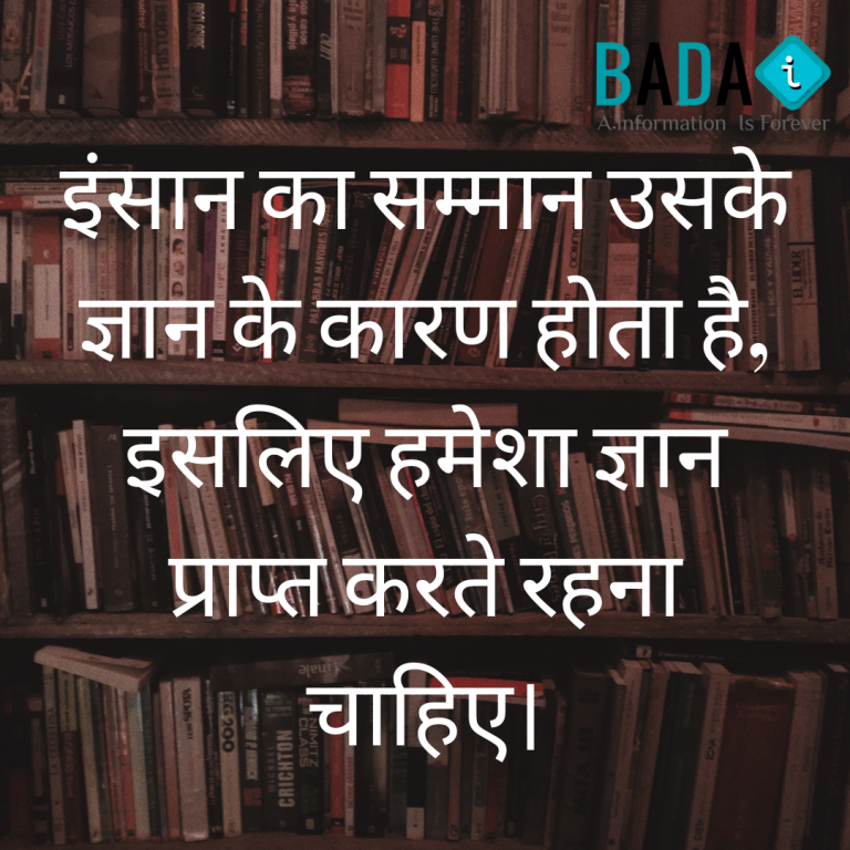 Brown Best Friend Adventure Instagram Post (1)