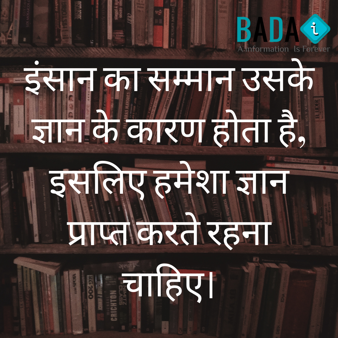 Brown Best Friend Adventure Instagram Post (1)